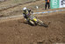 MMČR 2013