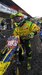 MSV  2018 ANGLIE