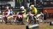 MSV  2018 ANGLIE